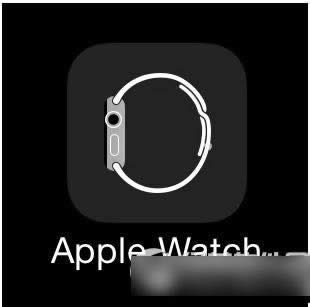 iphoneapple watch棺iphoneapple watchý̳1