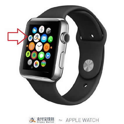 Apple Watch֧