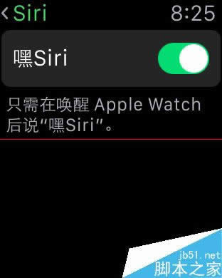 Apple Watch不能使用Siri用电话该怎么处理？_数码配件