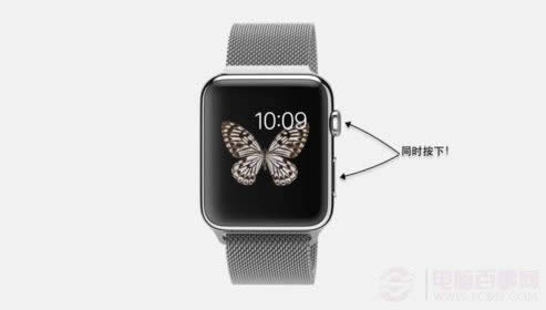 Apple Watchô죿Apple Watchôǿ