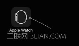 Apple Watchʲôʱ򷢻 