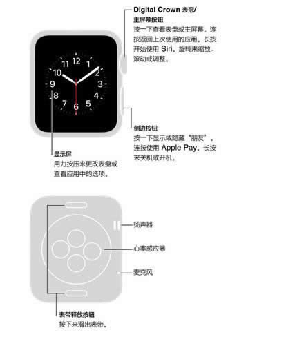 Apple Watchֱ죿 