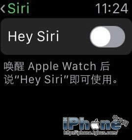 Apple Watchǿʡ缼_