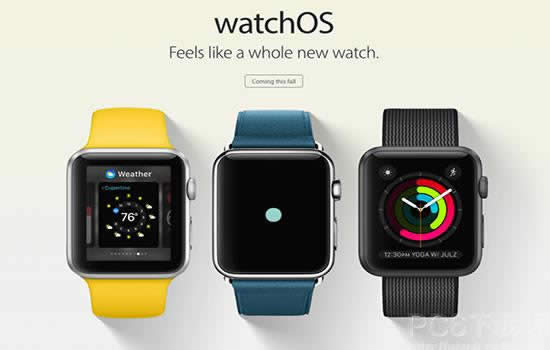 Apple Watchʲôӿڣ 