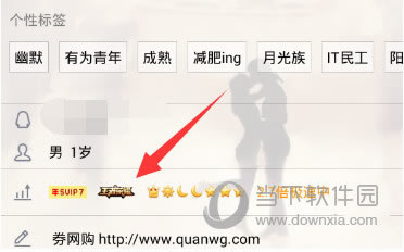 QQ怎么点亮王者荣耀图标 QQ设置王者荣耀图标指南