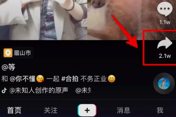 ��������Ƶ������ص����� ������Ƶ��ô���ص�����