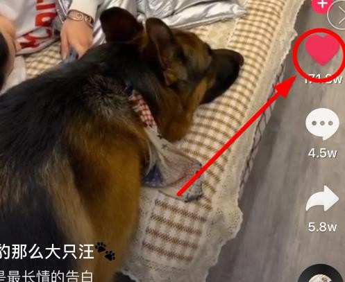 抖音如何删除喜欢的作品 抖音怎么删喜欢的视频