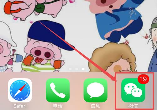 ΢��֧��˳�����÷��� �����������