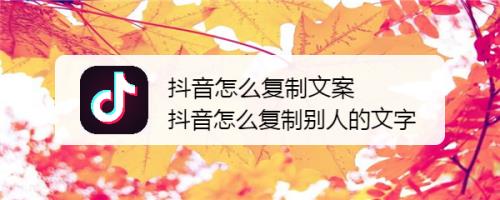 �����İ���ô���� �����������