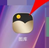 vue�Ҳ�����Ƶ�ļ���ô�� vue��Ƶ�ļ�λ��