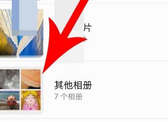 vue�Ҳ�����Ƶ�ļ���ô�� vue��Ƶ�ļ�λ��