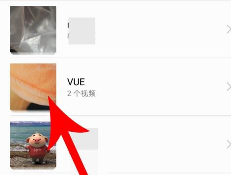 vue�Ҳ�����Ƶ�ļ���ô�� vue��Ƶ�ļ�λ��