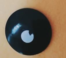 vue�Ҳ�����Ƶ�ļ���ô�� vue��Ƶ�ļ�λ��