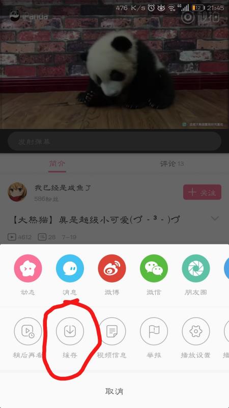 ����������ô������Ƶ Bվ��ô������Ƶ