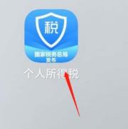 ��������˰appΪʲô������˰ ��������˰app��˰����