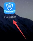 ��˰appΪʲô������˰ ��˰app��˰����