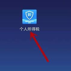 ��˰app��α���ܹ͵�λ ��˰app����ܹ͵�λ����