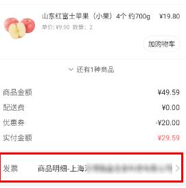 ���������ο�Ʊ ������˿�Ʊ����