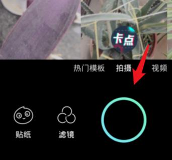 faceu��ôƴ��ͼ faceuƴ��ͼ����