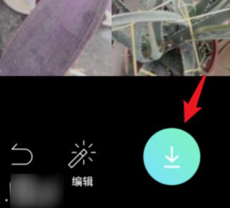 faceu��ôƴ��ͼ faceuƴ��ͼ����