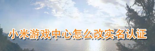 С����Ϸ����ʵ����֤��ô�� �����������