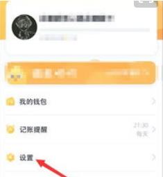 叨叨记账如何激发视频通话 叨叨记账激发通话相关内容