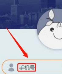 乐橙为什么老离线 乐橙离线解决方法