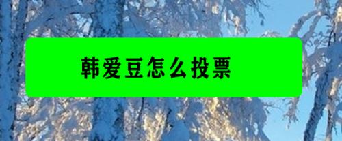 韩爱豆app怎么投票 韩爱豆app投票教程