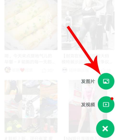 ������η�����Ƶ��̬ ���˷�����Ƶ��̬����