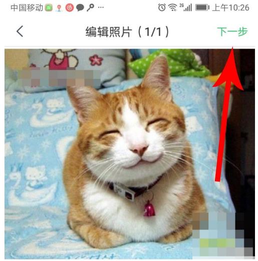 ������η�����Ƶ��̬ ���˷�����Ƶ��̬����