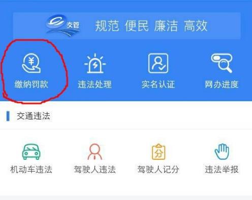 交警123123为什么处理不了违章 在交管123123上缴纳罚款方法