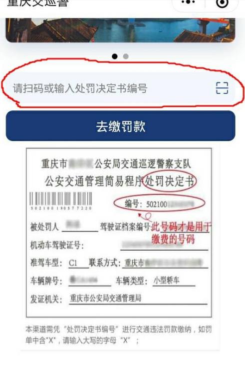 交警123123为什么处理不了违章 在交管123123上缴纳罚款方法