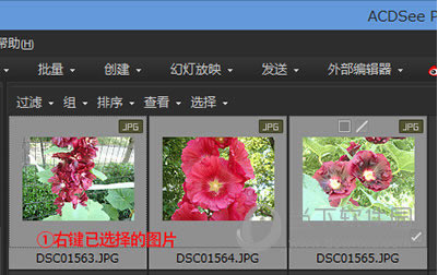 acdsee怎么转换图片格式 acdsee转换图片格式图文详细教程