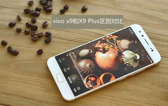 vivo X9 Plus֧˫˫