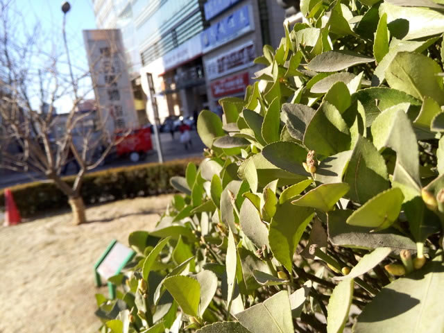 看似"错位"的较量 小米Note对比魅族MX4