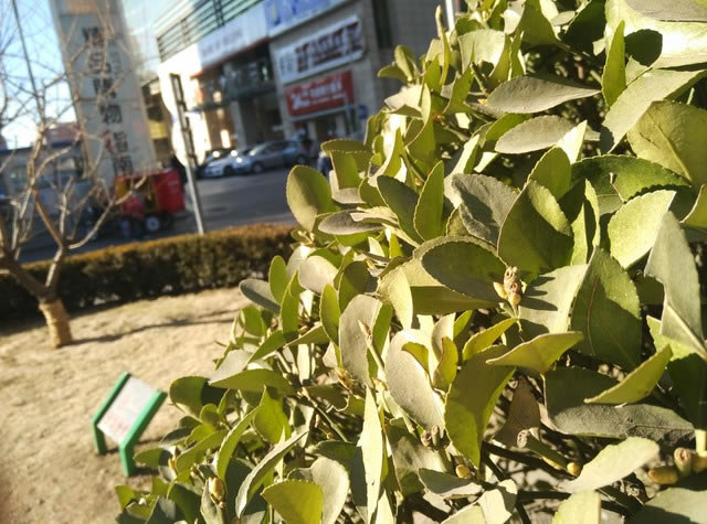 看似"错位"的较量 小米Note对比魅族MX4