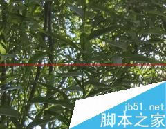 LG G4 和小米Note顶配版哪款更耐用?_安卓手机_手机学院_本站