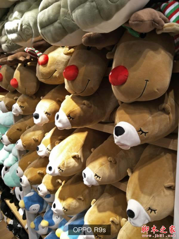 华为Mate9/小米MIX/OPPOR9s/荣耀note8哪个拍照好 实拍样张对比分析图赏