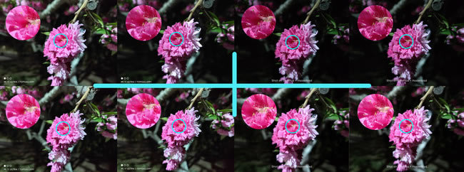 一加9Pro和小米11Ultra拍照哪个好 一加9Pro与小米11Ultra拍照对比_手机评测_手机学院_本站