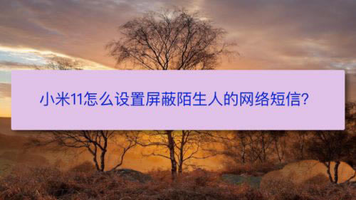小米11怎么屏蔽陌生人短信? 小米屏蔽陌生人的网络短信的技巧_安卓手机_手机学院_本站