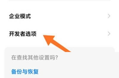 小米12怎么查看开发者选项 小米12开启开发者选项教程_安卓手机_手机学院_本站
