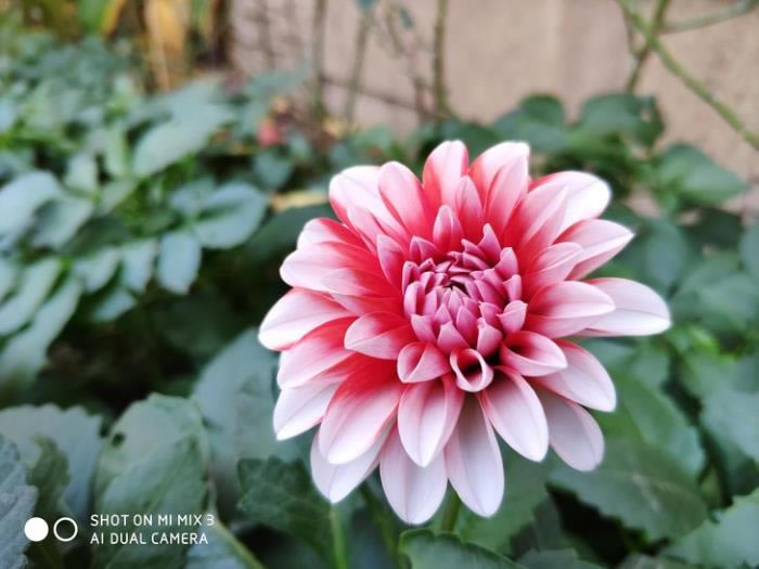 小米MIX 3手机怎么样?小米MIX 3全面评测_手机评测_手机学院_本站