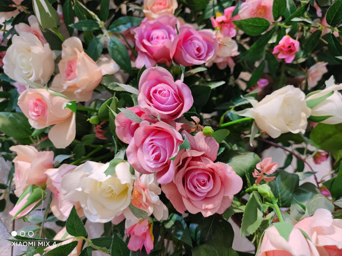 С��MIX 4������� С��MIX 4ȫ������_�ֻ�����_�ֻ�ѧԺ_��վ