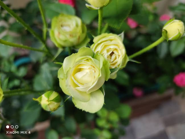 小米MIX4怎么样 小米MIX4体验评测_手机评测_手机学院_本站