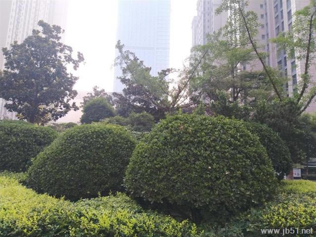 С��ƽ��4ֵ�ù�����С��ƽ��4ȫ��λ��ϸ����_ƽ�����_Ӳ���̳�_��վ