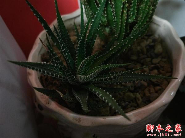 ZUK Z2和小米5哪个更值得买?联想ZUK Z2和小米5尊享版全方位详细区别对比评测_手机评测_手机学院_本站