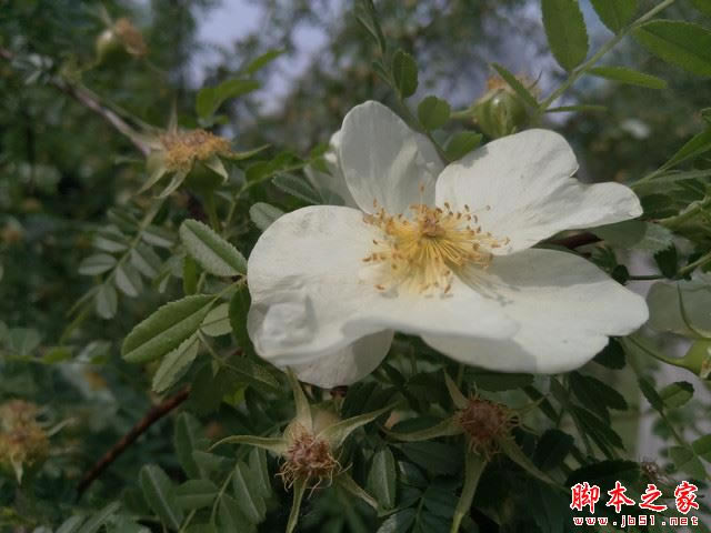 900��Ǯ�������� ��2/С��5��׼��Ա� 