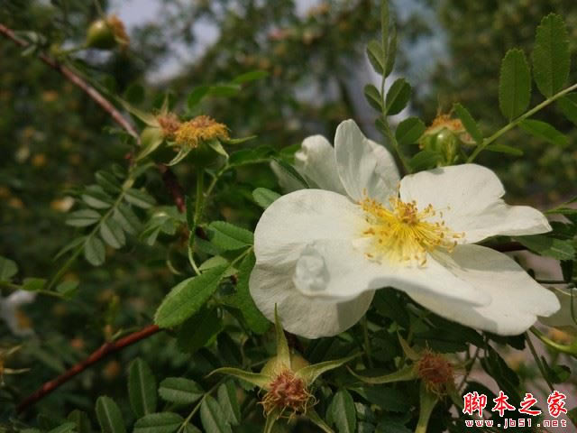 900��Ǯ�������� ��2/С��5��׼��Ա� 