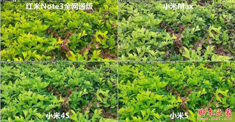 小米Max/小米5/红米Note3/小米4S拍照对比评测
