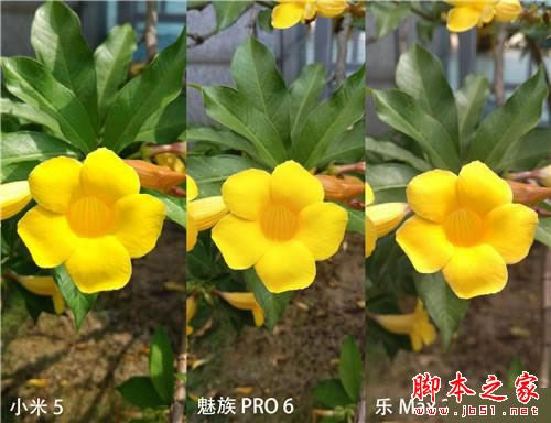 小米5尊享版/魅族PRO 6/乐Max 2详细深度区别对比评测:谁更胜一筹?_手机评测_手机学院_本站